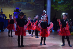 2025 / 2026 - Bauernball im Narrenstall